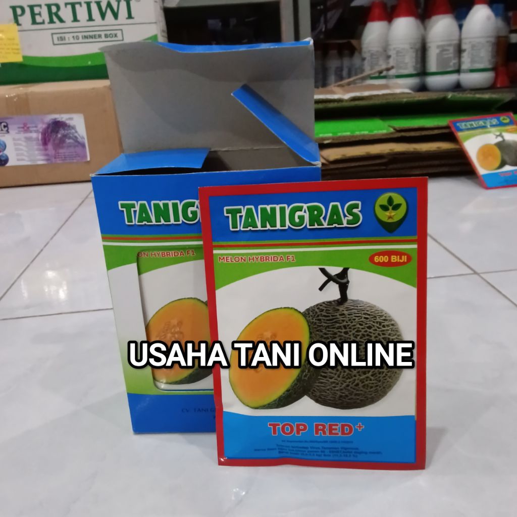 Benih Bibit Melon Orange Top Red Plus F1 (Jumbo),  Terviral terbaru. Isi sangat banyak 600 - 800 But