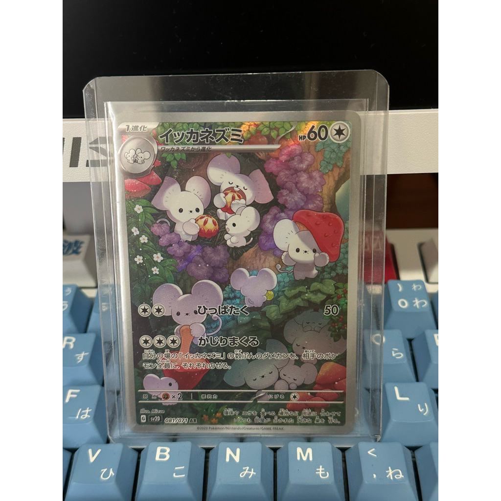 maushold AR japanese