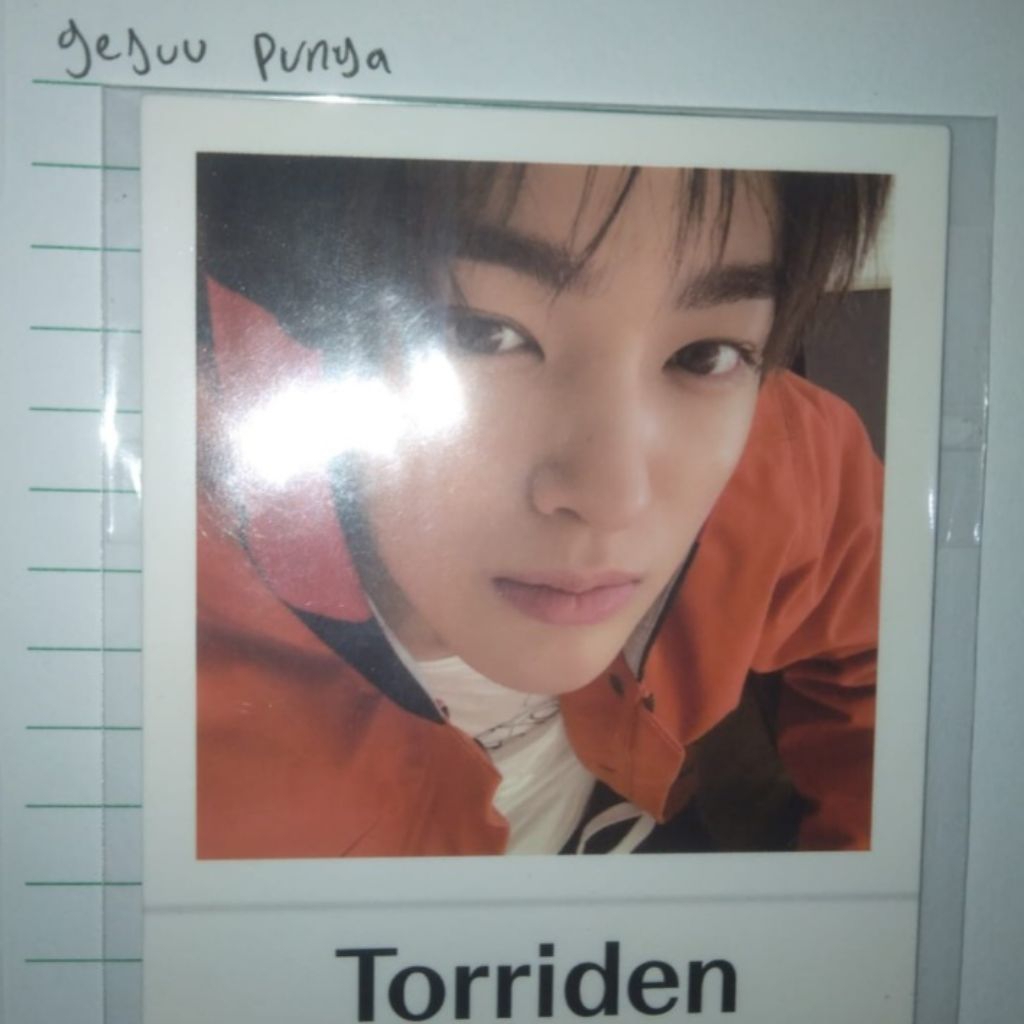 pola torriden