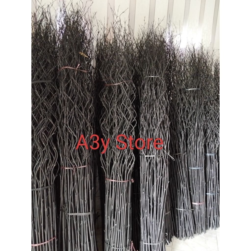 bambu ulir bambu Inul bambu cendani