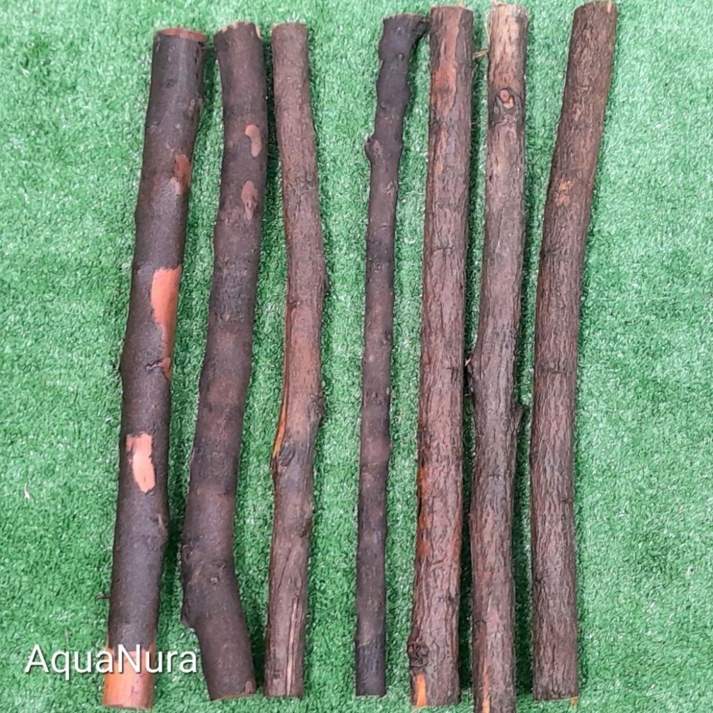 kayu rasamala lurus TENGGELAM 50cm size s sd L aquascape aquarium