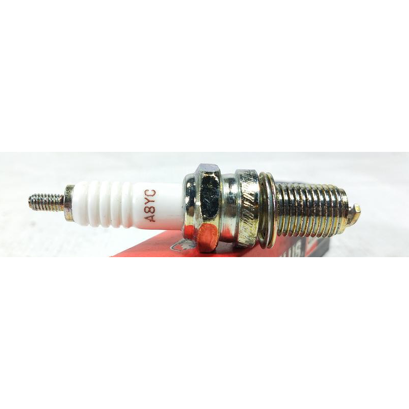 Busi Champion A8YC / GL, GL Pro, Tiger, CB, Scorpio