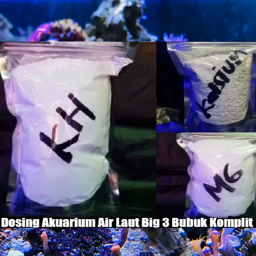 Dosing Big 3 Bubuk Komplit KH CA MG 3 x 1kg Alkalinity Calcium Magnesium untuk Akuarium Air Laut Per