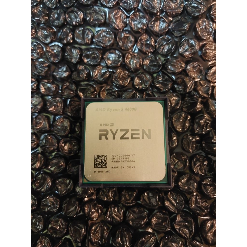 Ryzen 5 4600G (Second Tray)