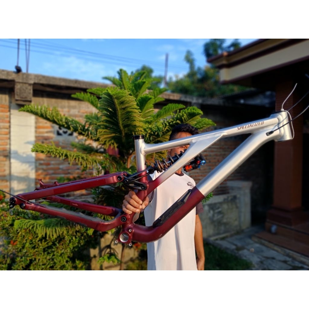 SPECIALIZED STUMPJUMPER EVO ELITE 29 frame mtb enduro 29er