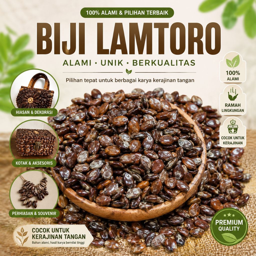 biji lamtoro ecer - biji Manding - buah Manding - kerajinan biji lamtoro