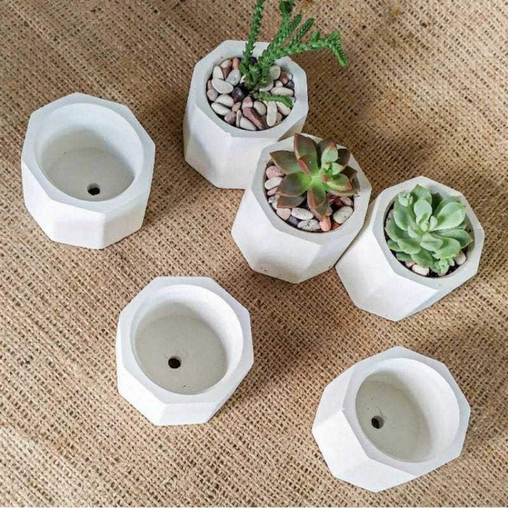 Pot Mini Semen Hexagon - Pot Kaktus Sukulen Aesthetic Hexagonal