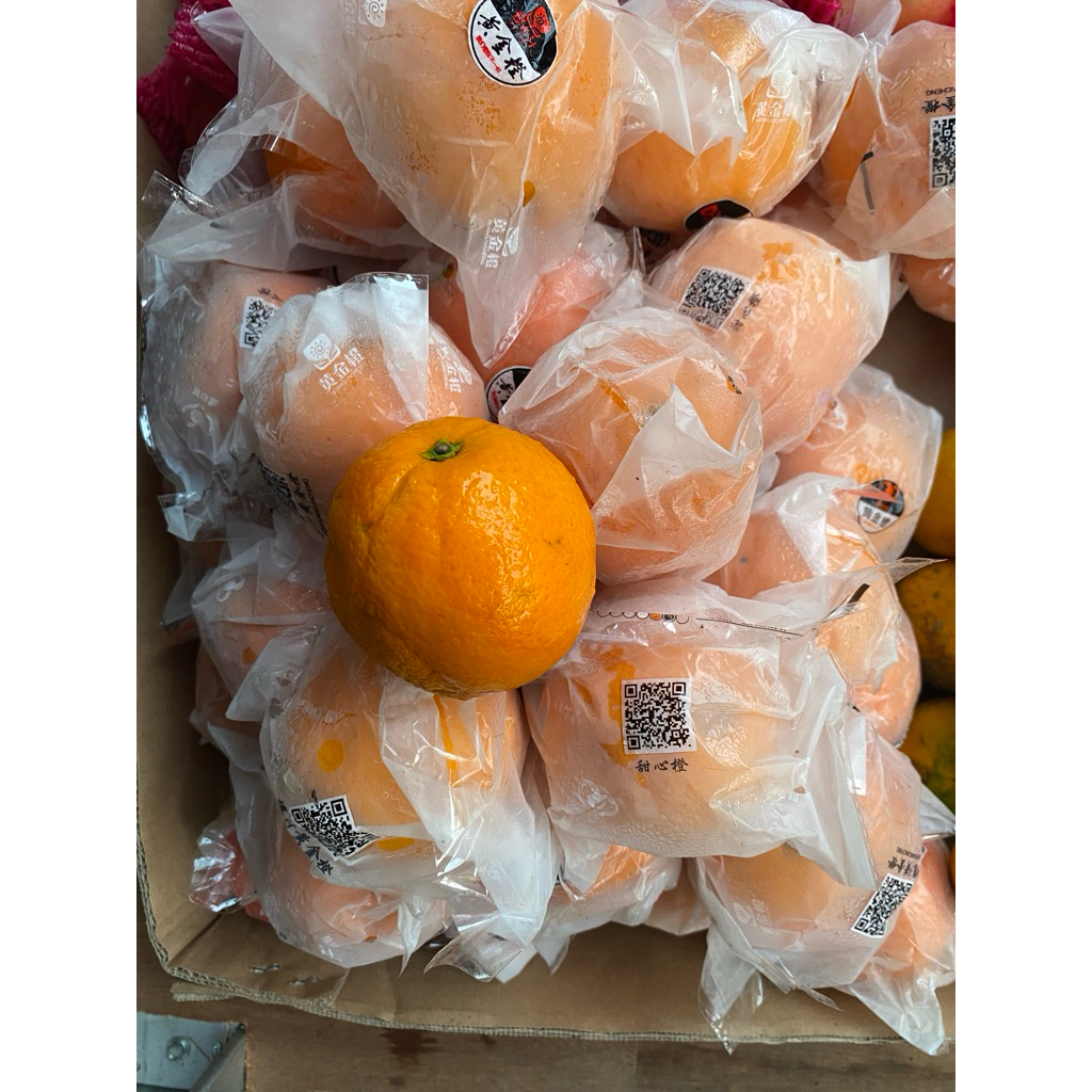 Jeruk Sunkist Navel Import Premium 1kg