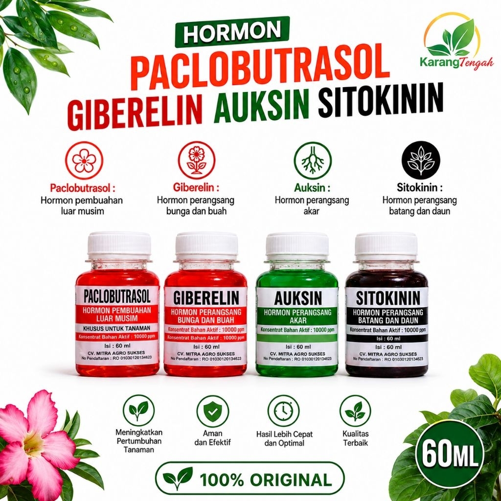 Hormon Paclobutrazol, Auksin, Giberelin, Sitokinin