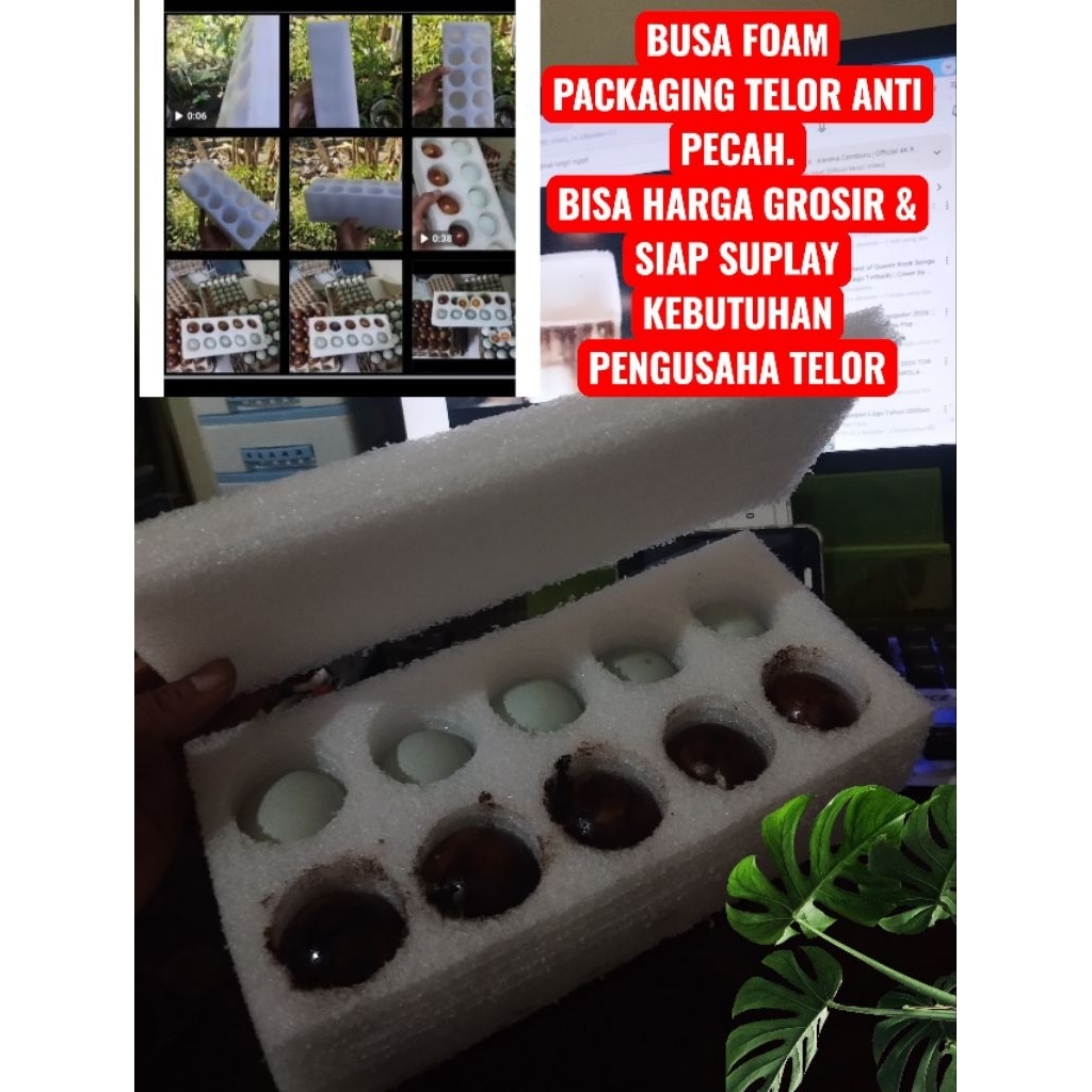 Promo Busa Foam Packing Telor Asin