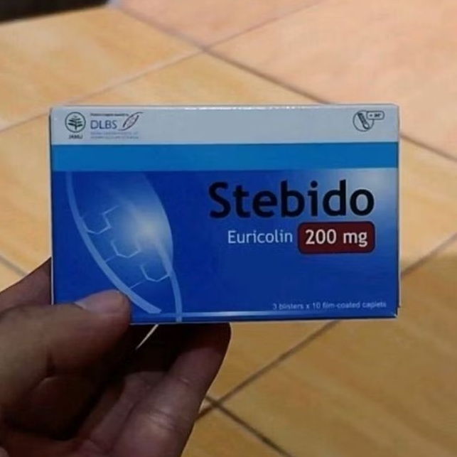 StEbIdo