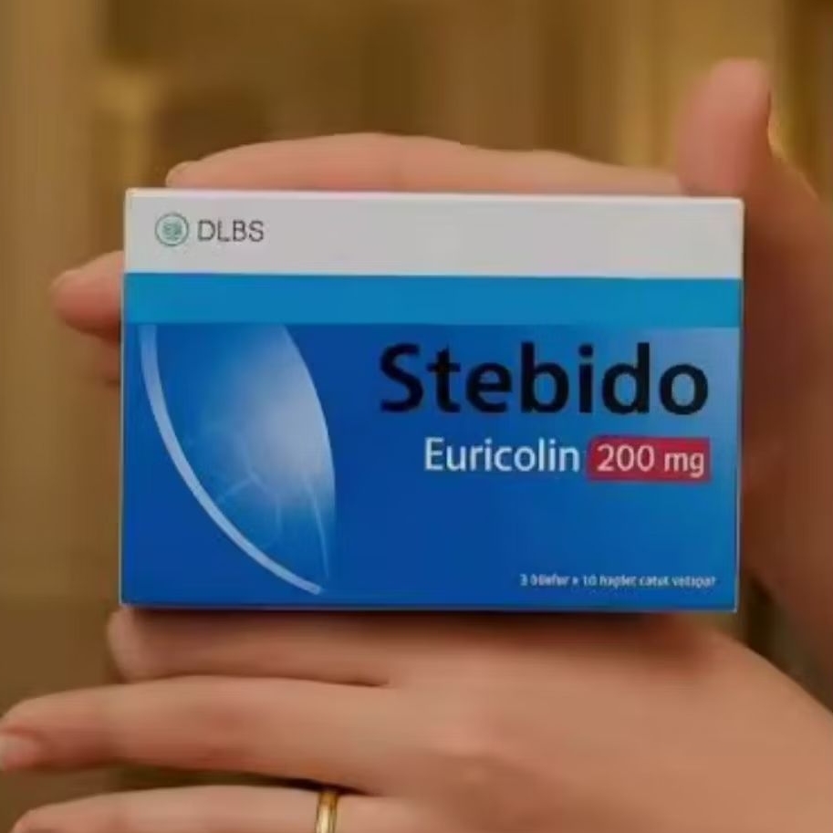 StEbIdO