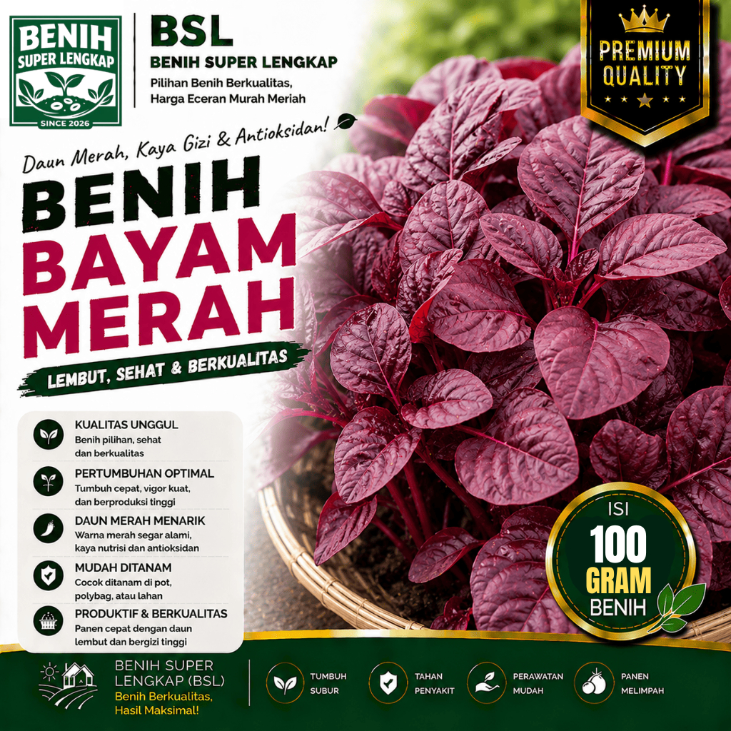 ( 100 Gram ) Benih Biji Bayam Merah | Bayam Cina | Red Amaranth | UKI BIBIT