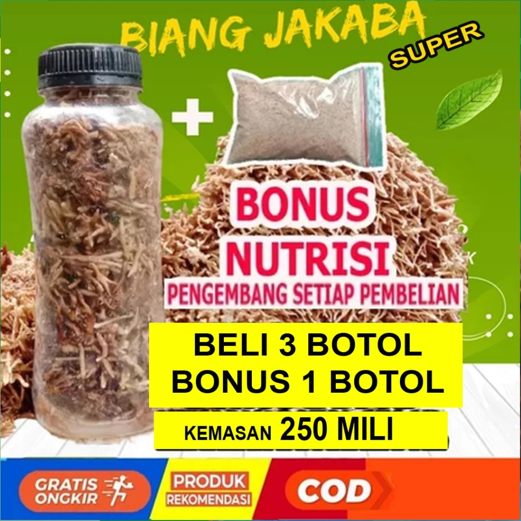 Jamur Jakaba Spora Bibit Biang Jamur Jakaba Pupuk Organik