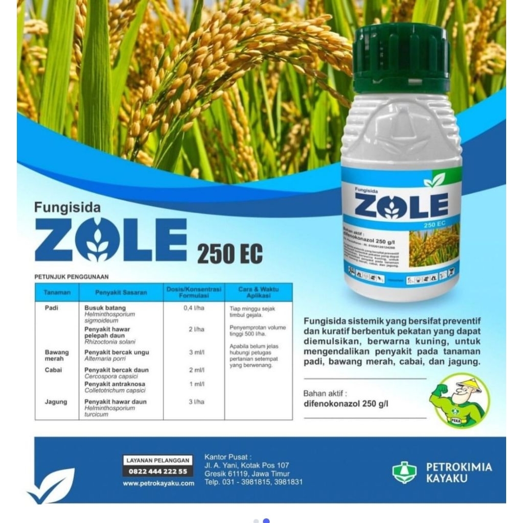 ZOLE 250 EC