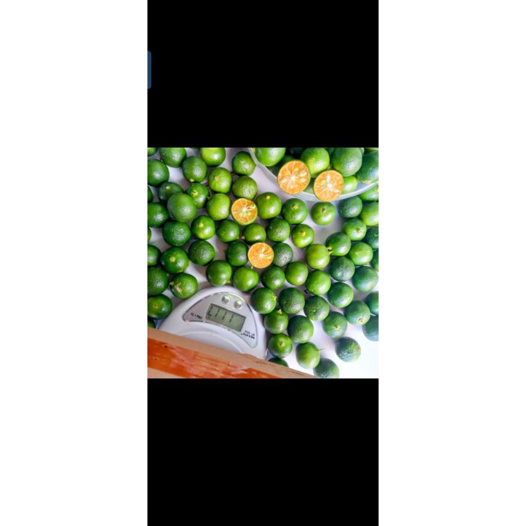 1 KG JERUK SONGKIT / KASTURI