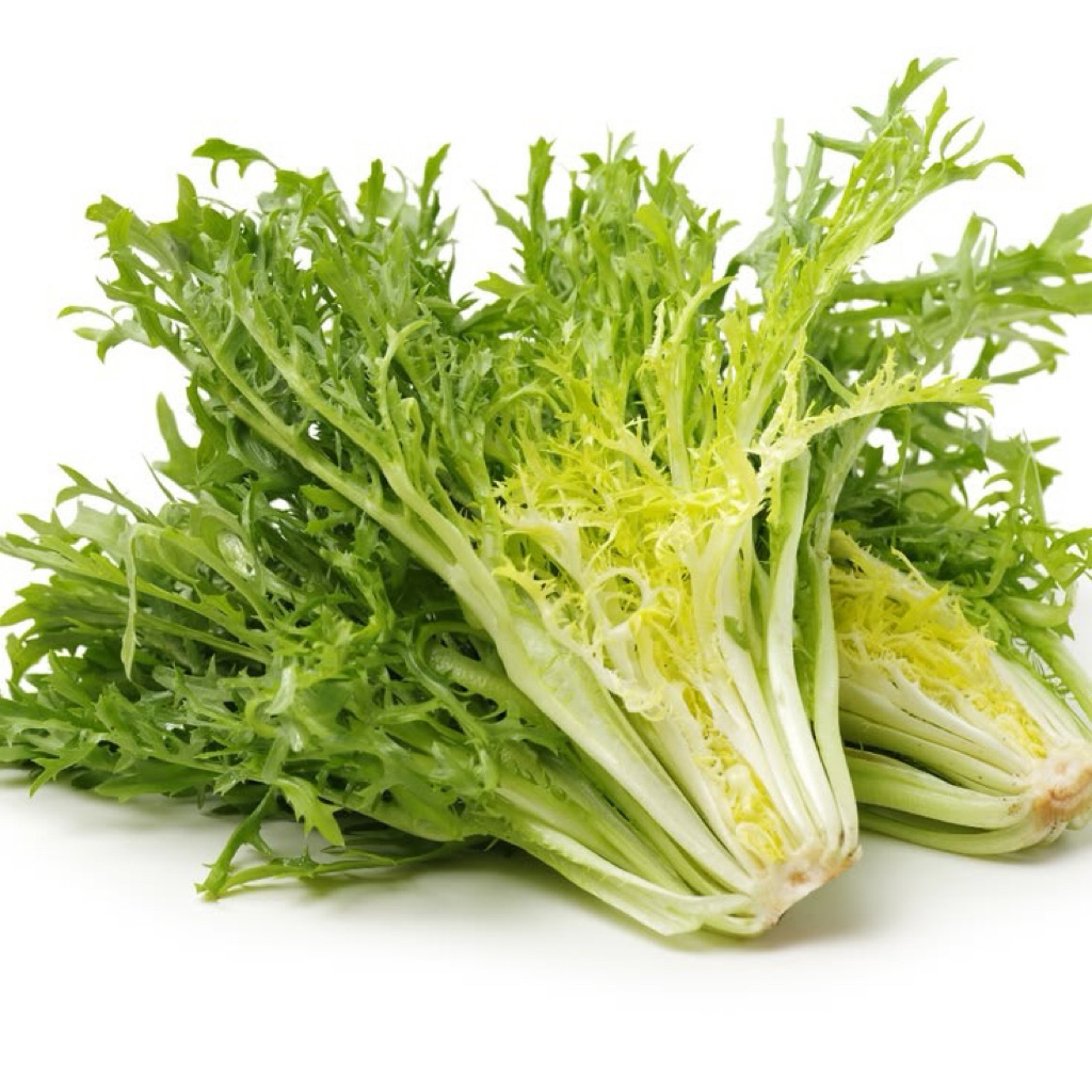 endive lettuce