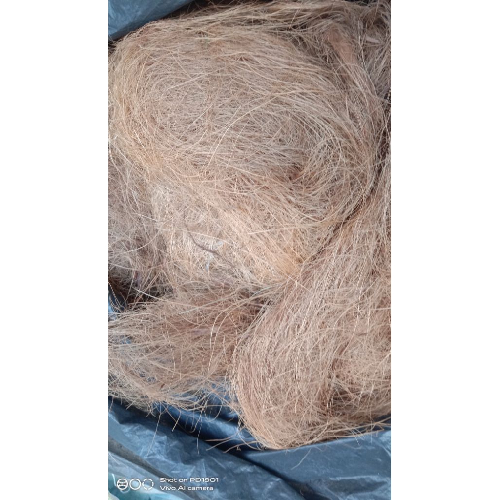 sabut kelapa kering hasil tapas gilingan