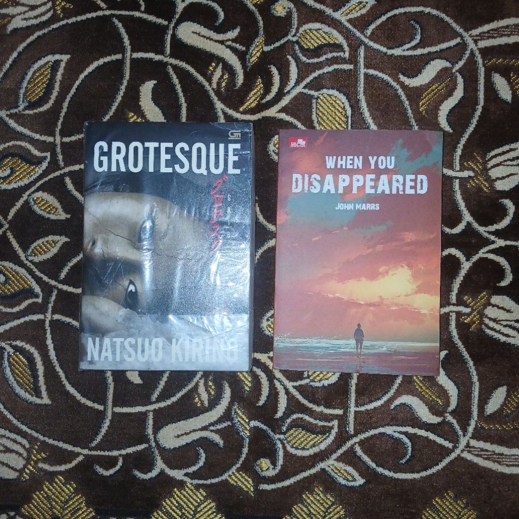 Bundling Novel Grotesque & When You Disappeared