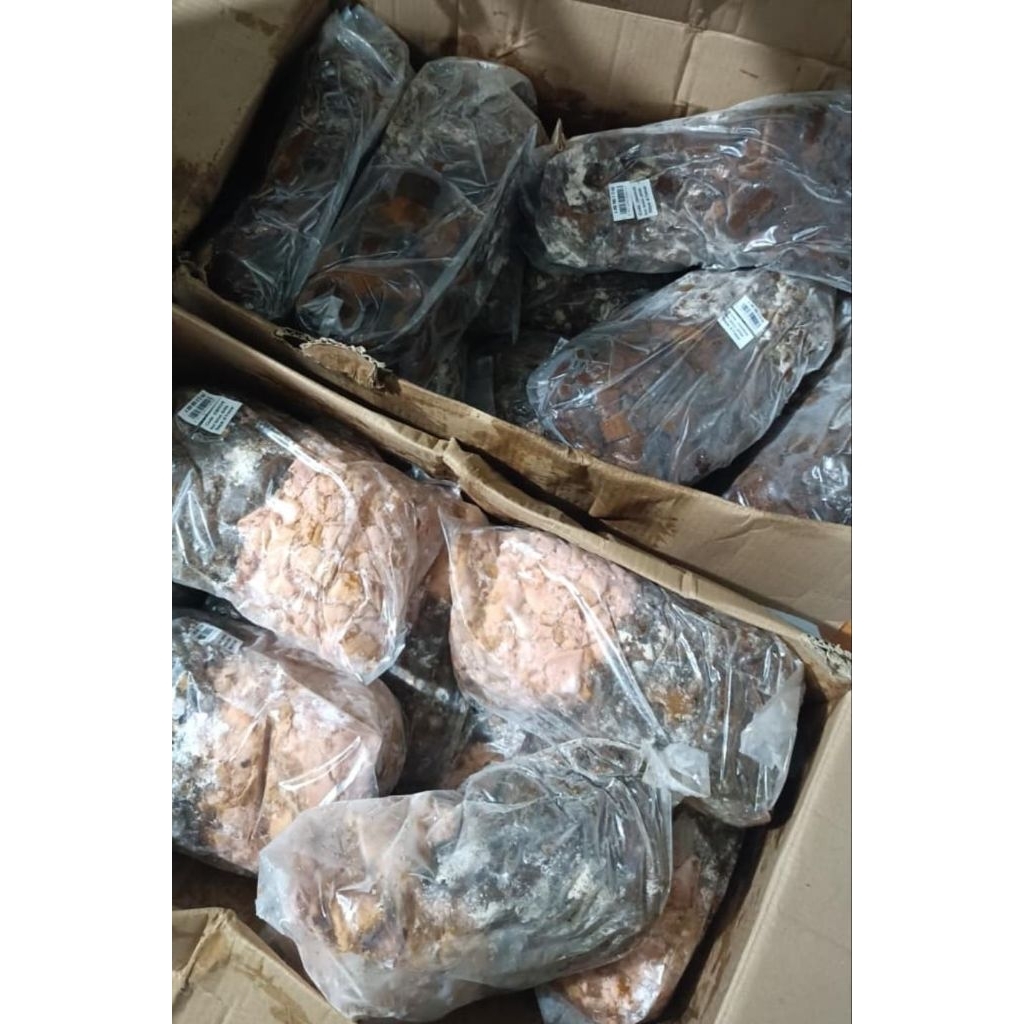 PROTOLAN GOLD CAKE 500gr