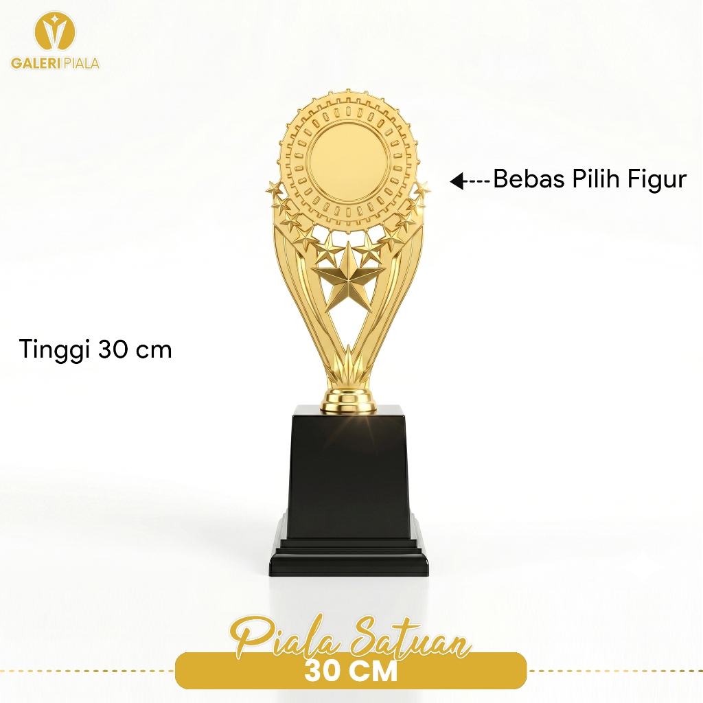 Piala Murah Kecil Setuan Tinggi 30cm Aneka Model Trophy Keren Mudah Dirakit Tropi Custom Kejuaraan P