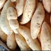 ubi cilembu 1kg 1000g