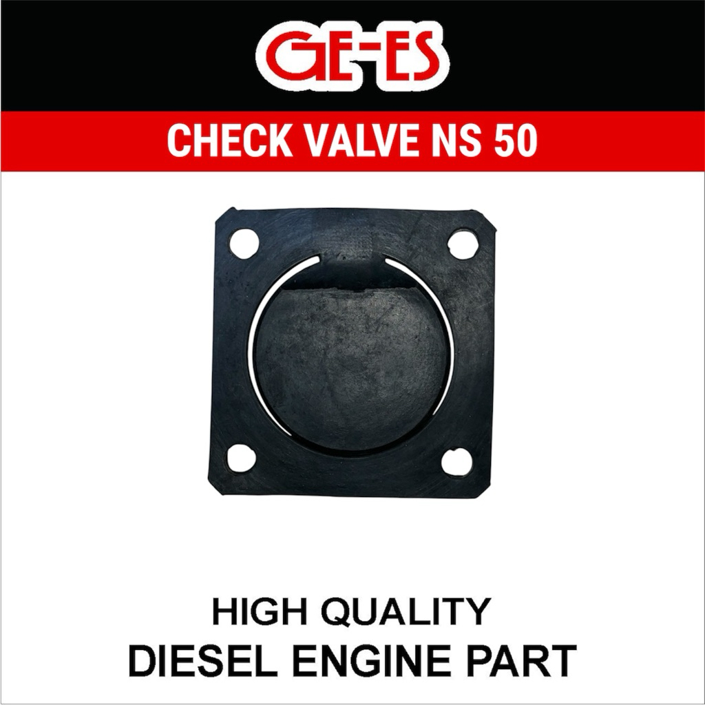 Check Valve NS 50 Klep Tabok Pompa NS 50 Klep Pompa NS 50