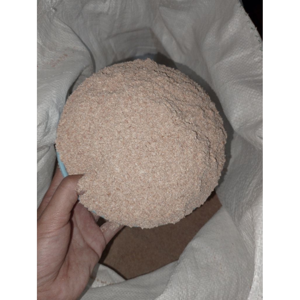 polar gandum 5kg polar cap angsa pakan ternak