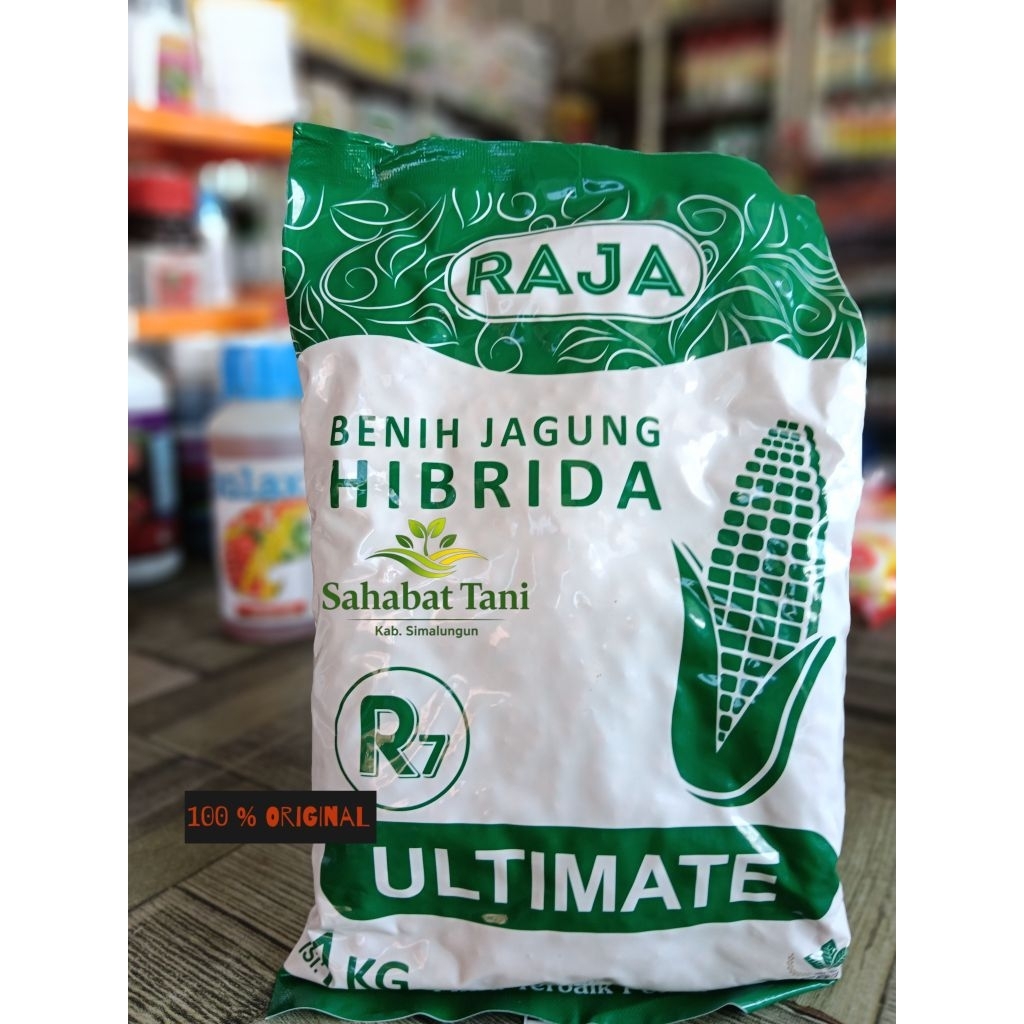 BENIH JAGUNG HIBRIDA R7 ULTIMATE 1KG