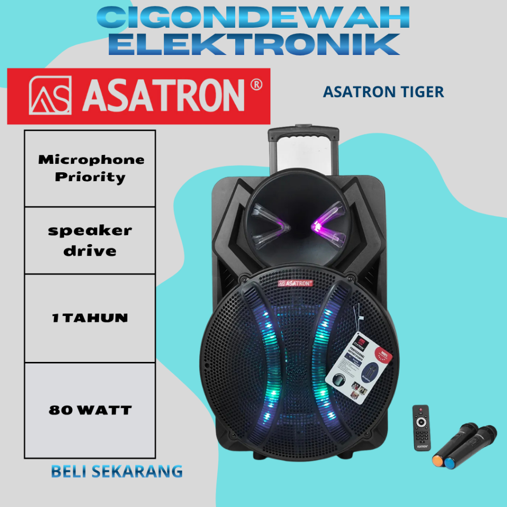 Asatron Tiger 18 Inch Bluetooth Party Speaker