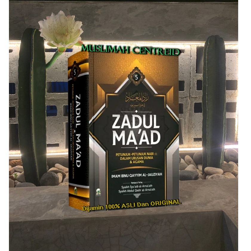 Zadul Maad Jilid 5 ORIGINAL ASLI Imam Ibnu Qayyim al Jauziyah - Darul Haq