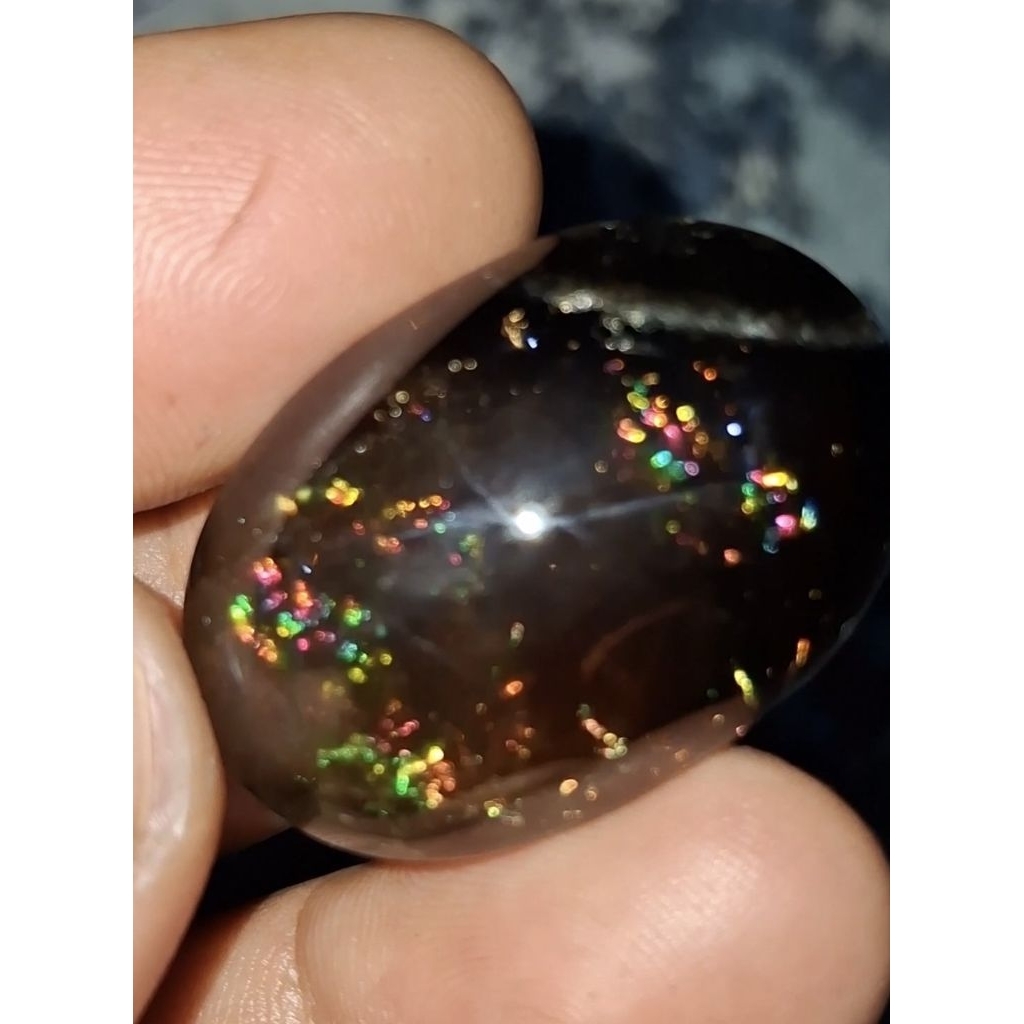 kecubung kopi pelangi jumbo