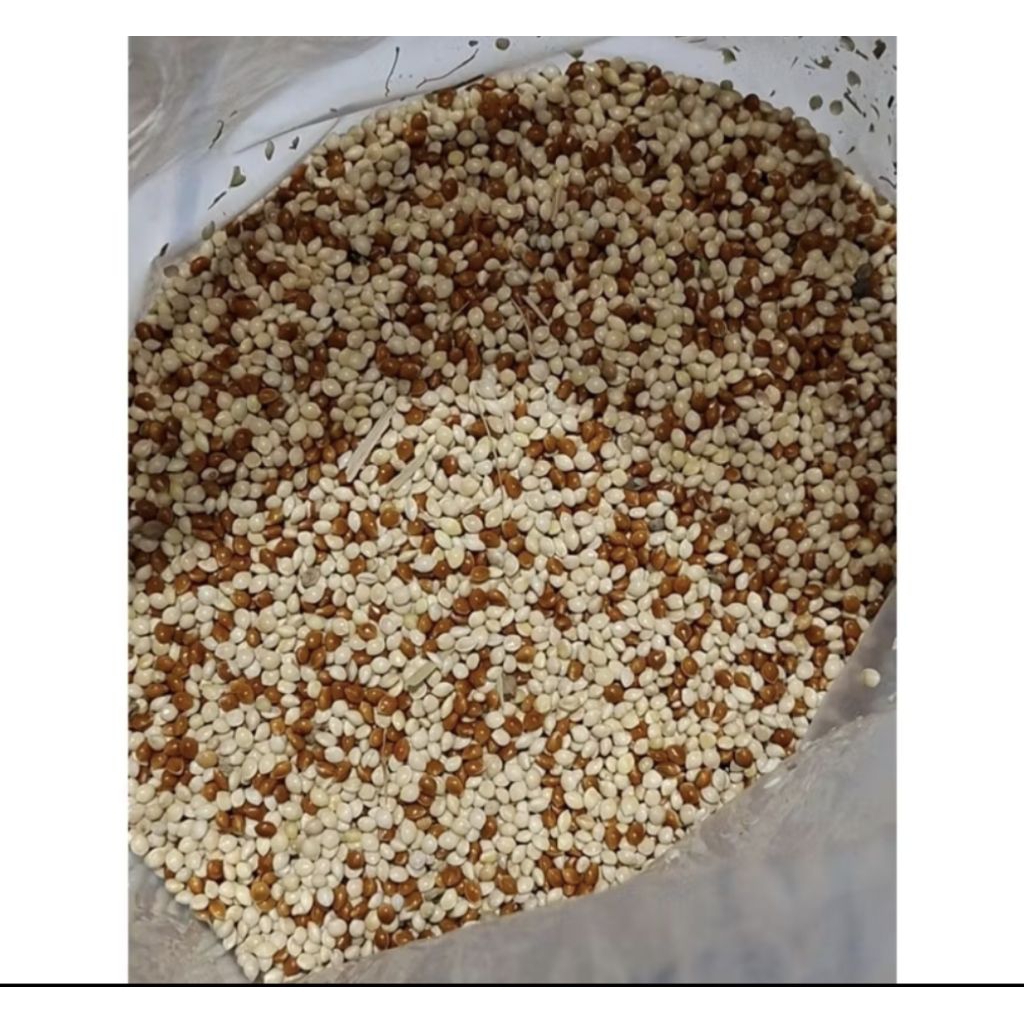 MILET MERAH MILET PUTIH MIX CAMPUR PAKAN BURUNG