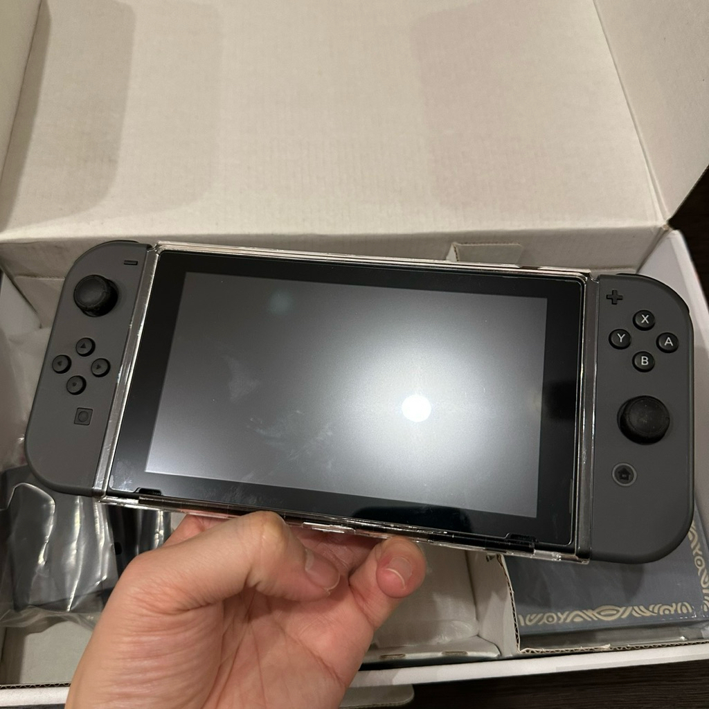 Nintendo Switch V1 Grey Second Preloved OFW