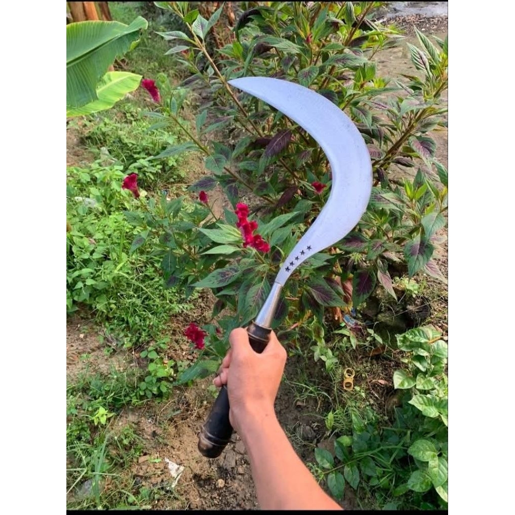 Peralatan Berkebun Arit madura