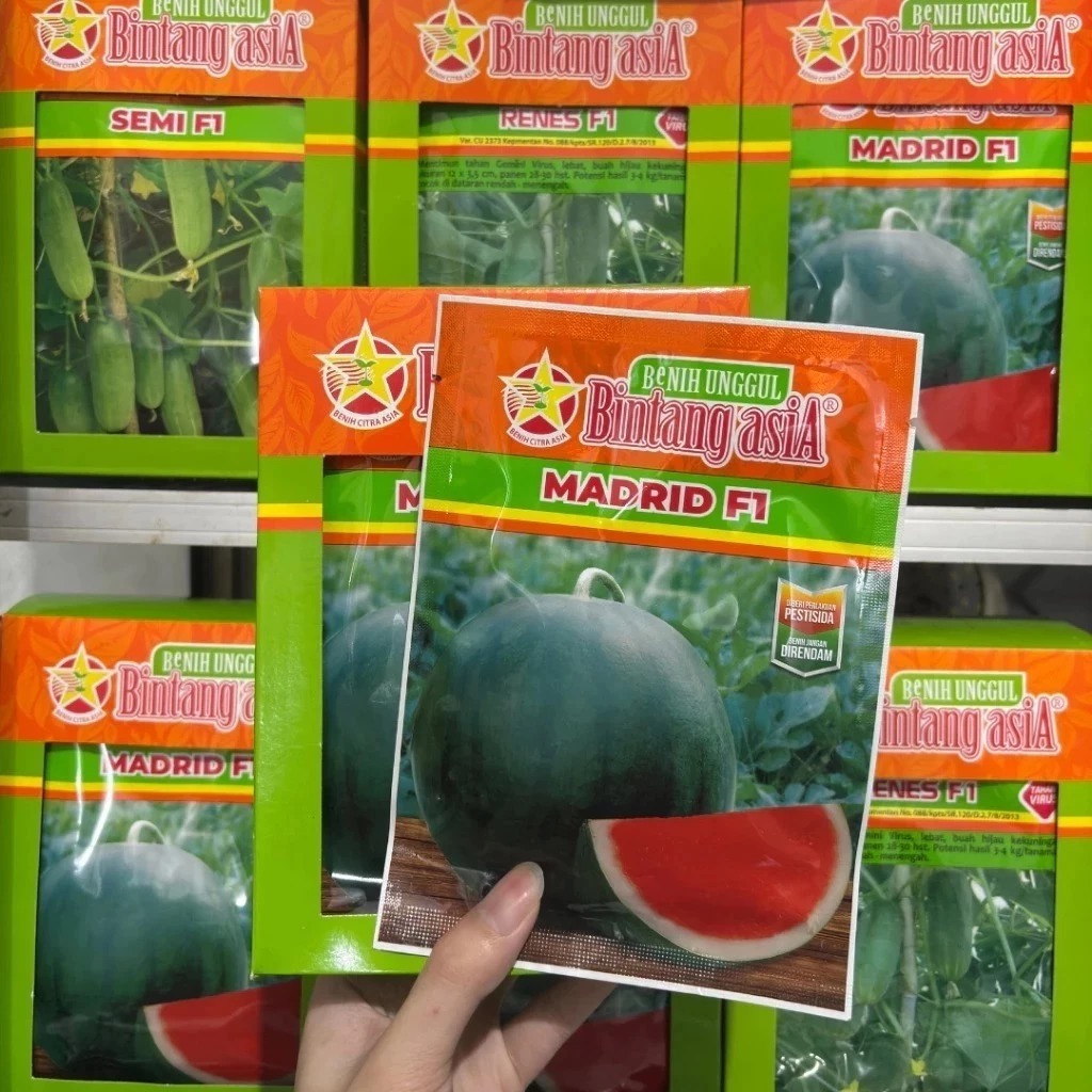 Benih Semangka Madrid F1