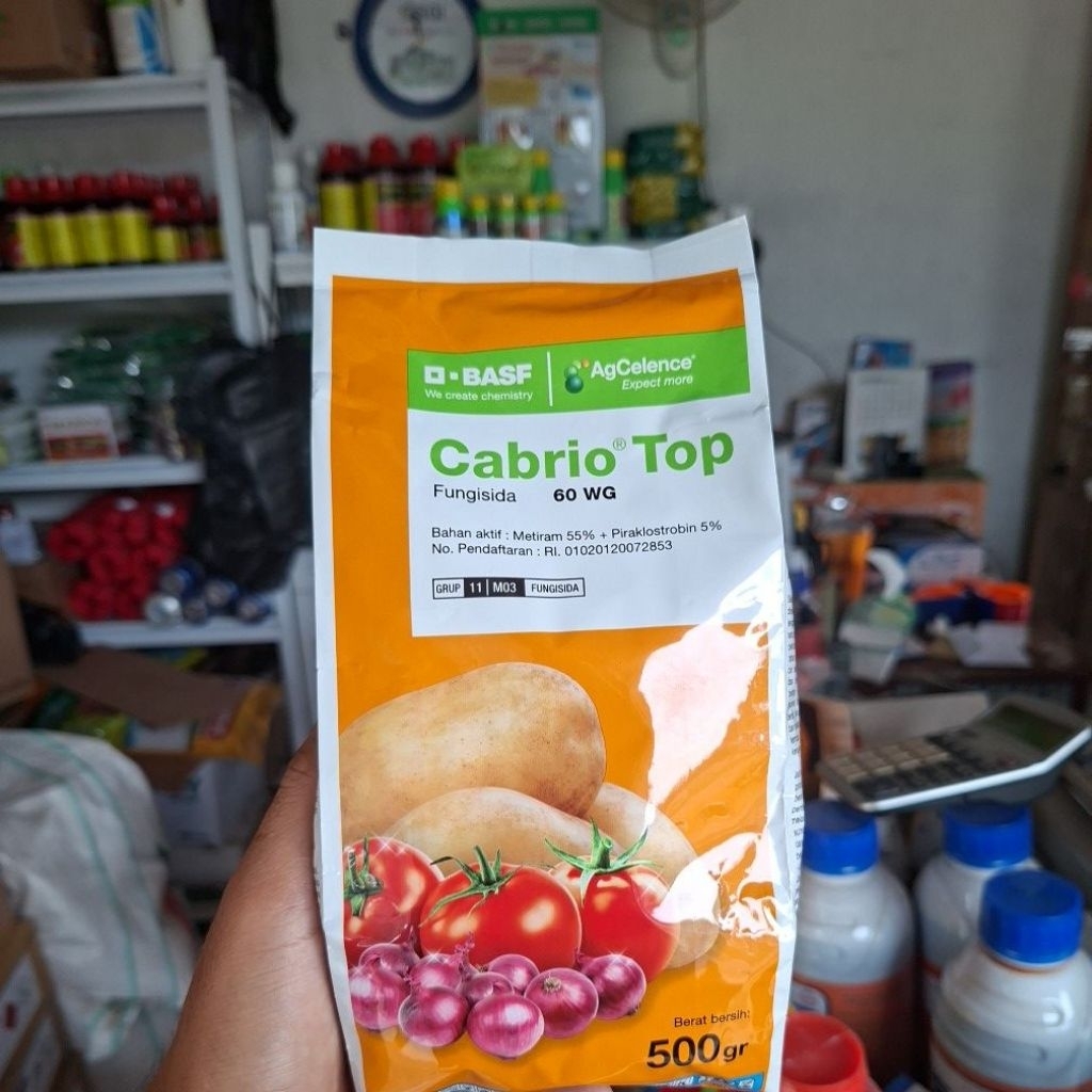 Cabrio Top 60 WG 500gr | Fungisida sistemik