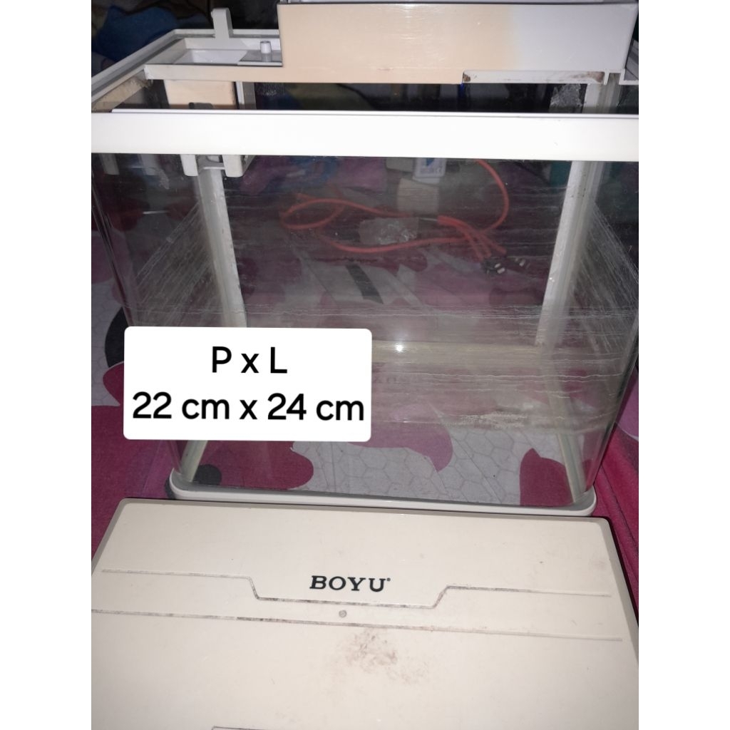 Preloved Aquarium Ikan Free aksesoris (batu dan hiasan pohon)