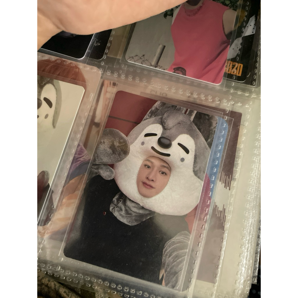 pob jypshop wolfchan