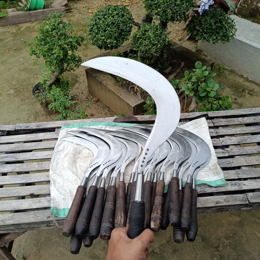 Arit Rumput Bintang 5 Baja pir