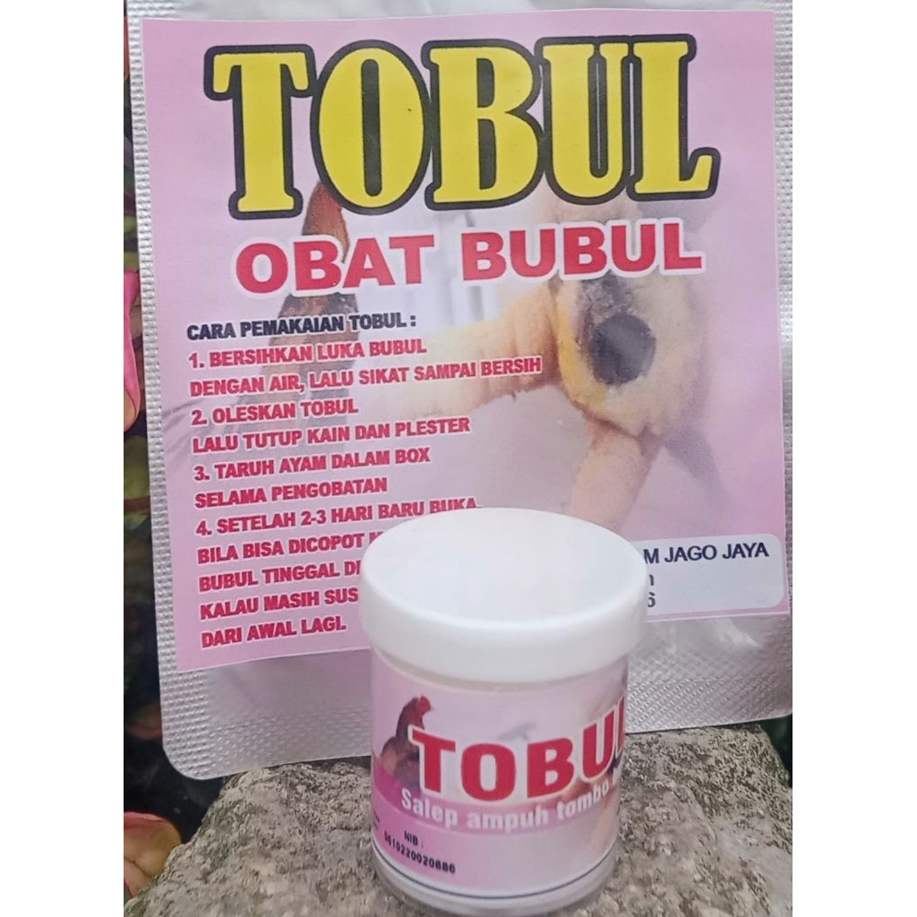 Tobul obat bubul ayam