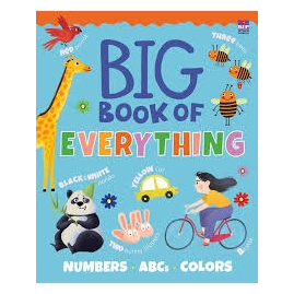 BIG BOOK OF EVERYTHING