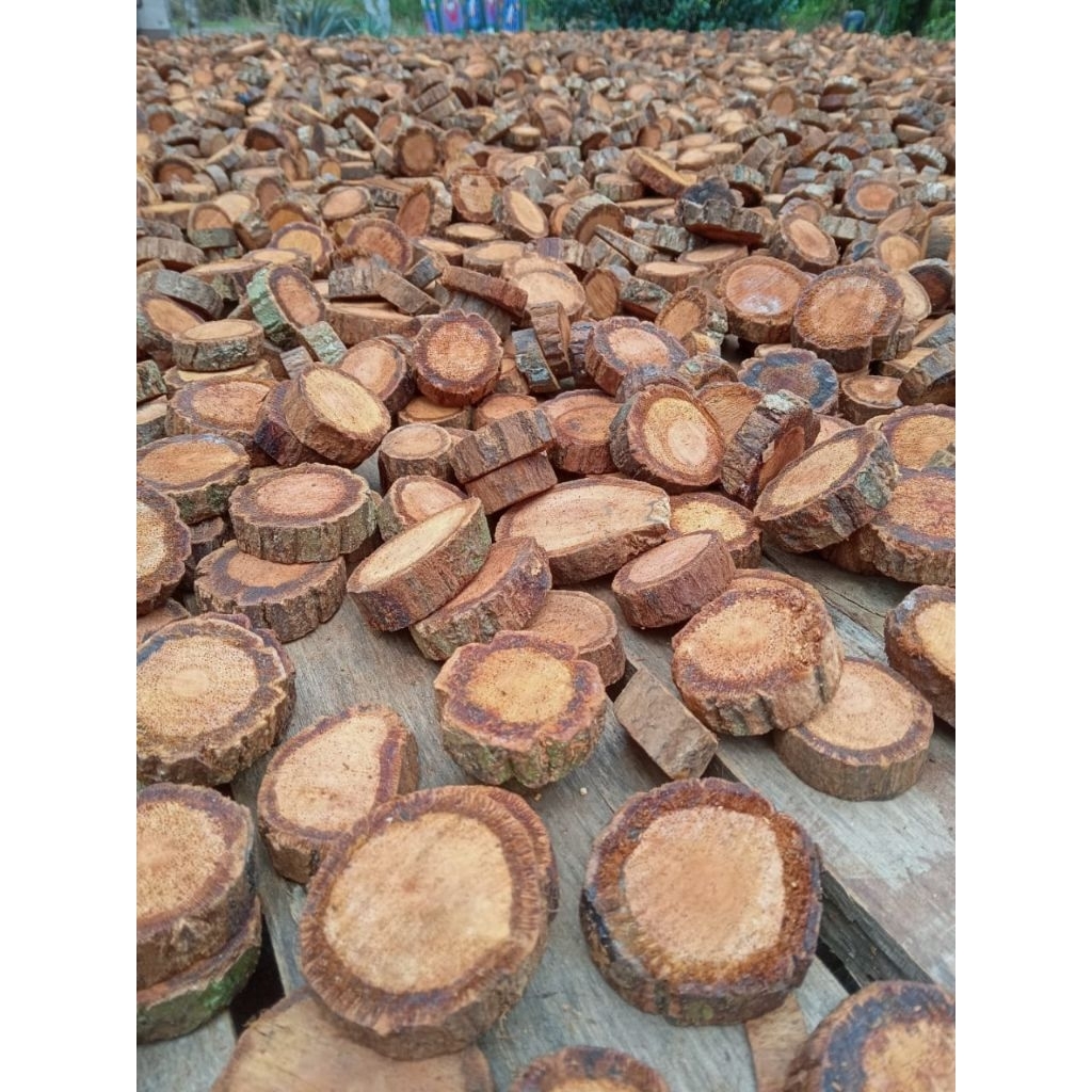 Grosir Bajakah Tampala Super asli Kalimantan 1kg