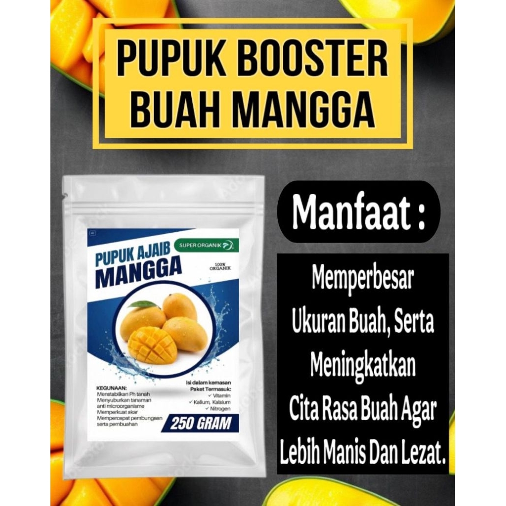 booster buah mangga