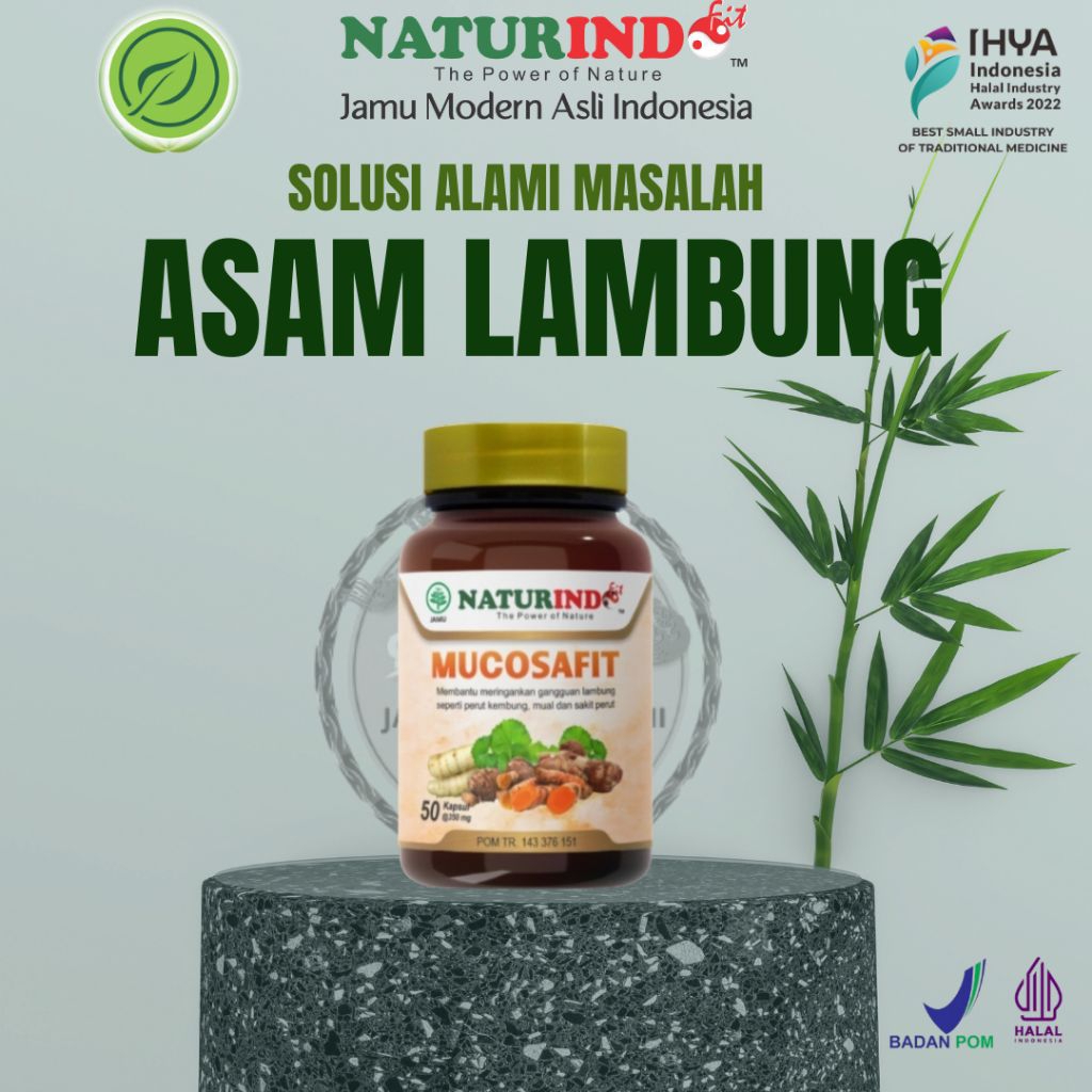 OBAT ASAM LAMBUNG HERBAL ASAM LAMBUNG MAAG GERD HERBAL MUCOSAFIT NATURINDO