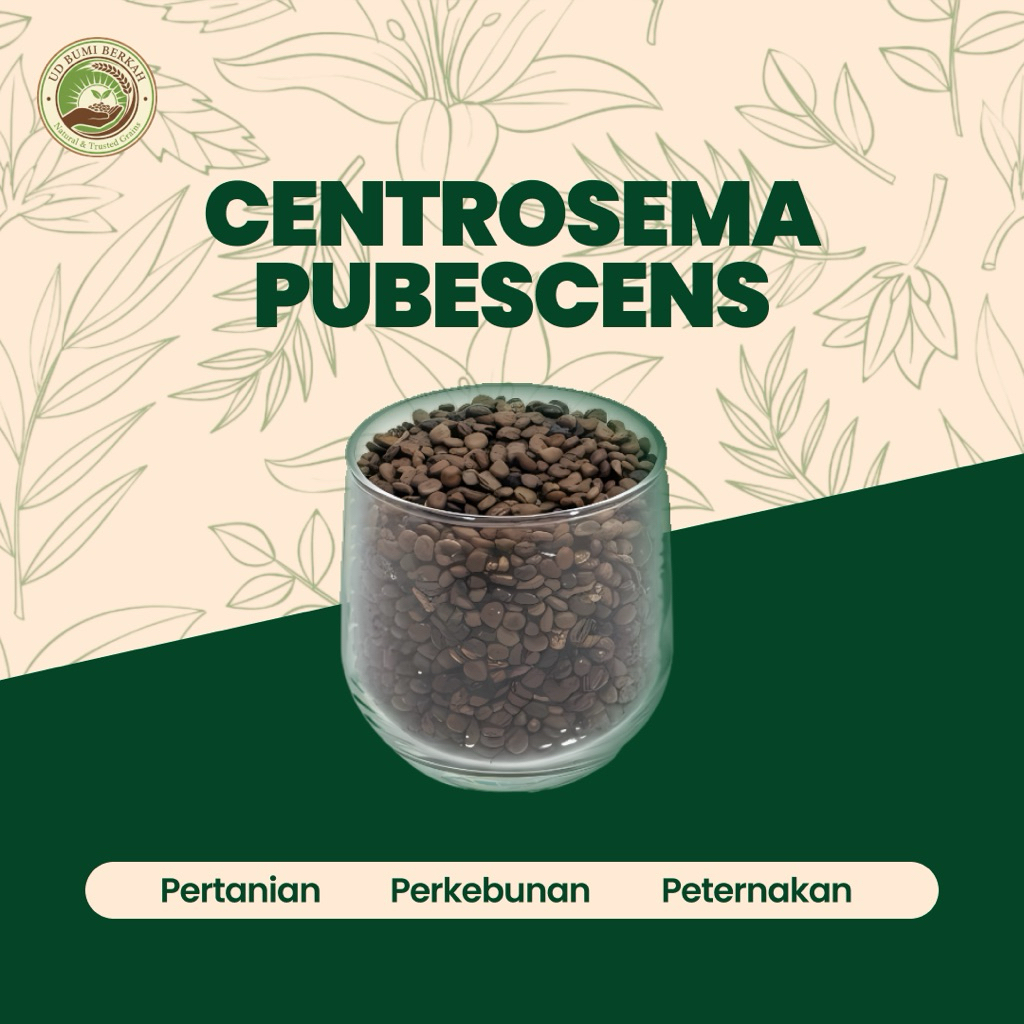 (1Kg) Centrosema Pubescens LCC Penutup Lahan