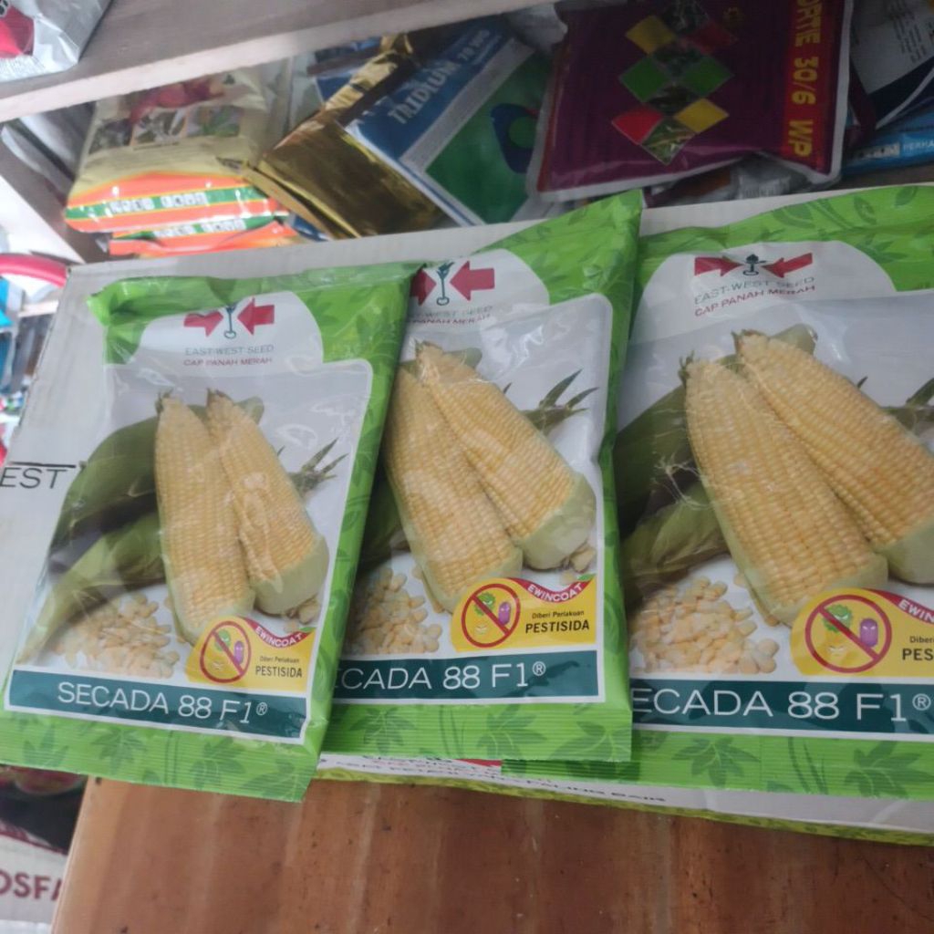 bibit jagung SCADA 88 1750 butir 250gr
