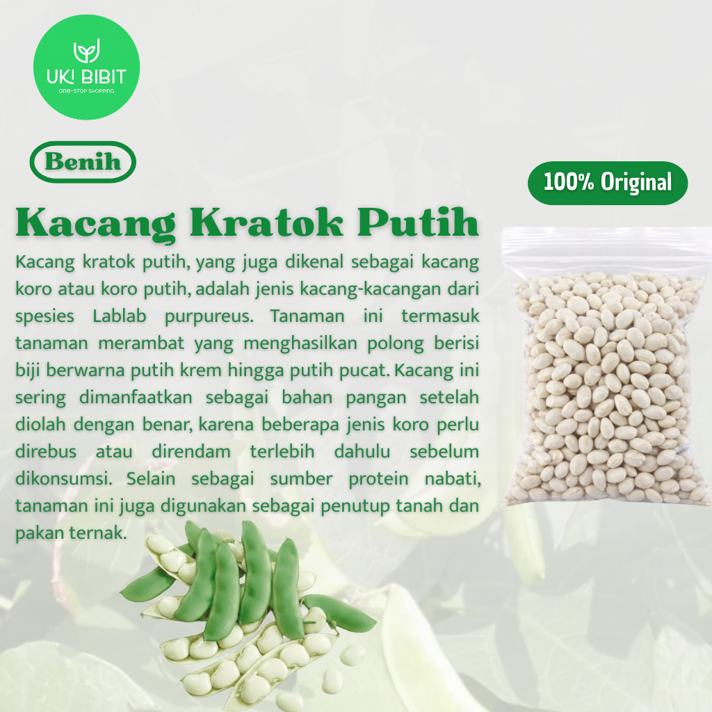 ( 1 Kg ) Benih Biji Kacang Kratok Putih | Kacang Kratok Merah | Koro | Roay