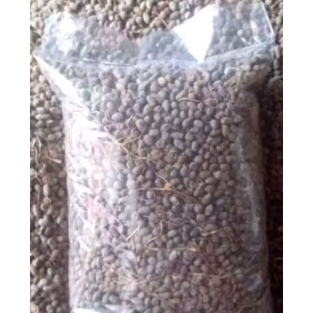 PUPUK KANDANG MURNI KOHE KAMBING