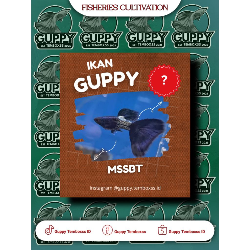 Hiasan Aquarium - Guppy MSSBT